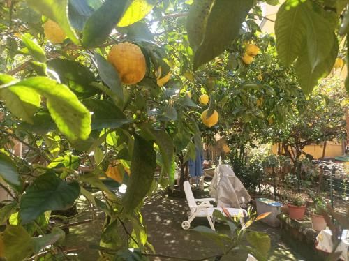 四人间（带浴室）