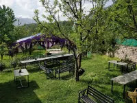 Madpackers Manali