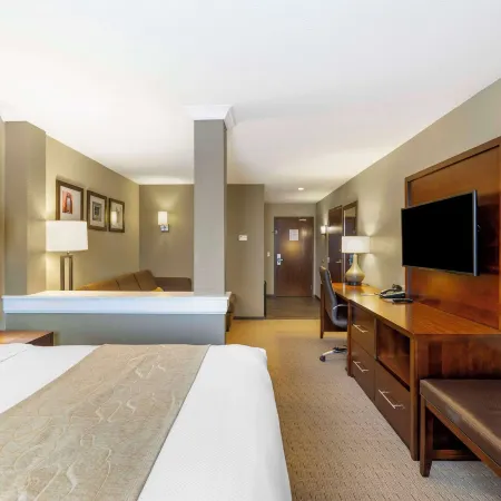 Comfort Suites Carlsbad Отели в г. Эдди