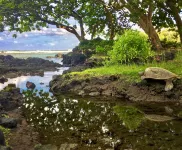 Epic Oceanfront Penthouse with Best Views in Hilo!
