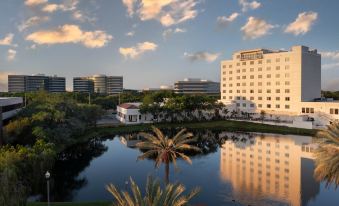 The Karol Hotel, St. Petersburg Clearwater, a Tribute Portfolio Hotel