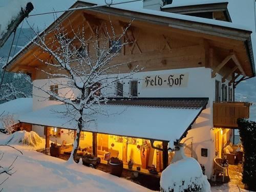 高级两卧室公寓