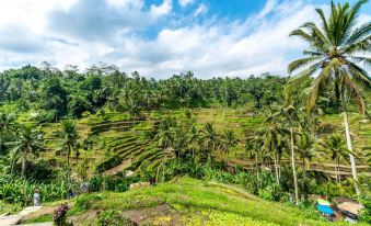 Anandari Ubud Villa