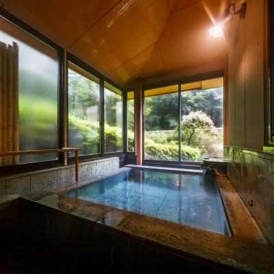 Deluxe, Japanese-Style With Bath, Garden View Jizaiso Promo Code