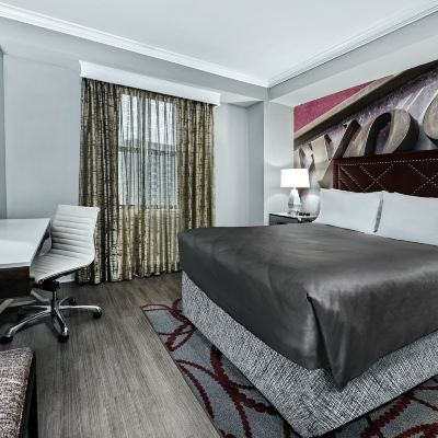 標準特大床房 達拉斯市區英迪格酒店優惠