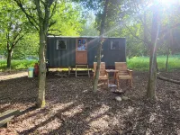Holt Woodland Glamping - Shepherd Huts & Yurts Dog Friendly Hotel a 