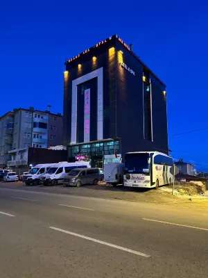 大艾加飯店