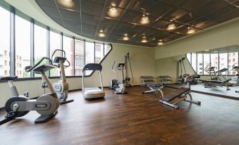 a well - equipped gym with various exercise equipment , such as treadmills , elliptical machines , and weight machines at Park Inn by Radisson Krakow