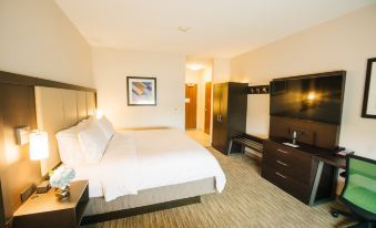 Holiday Inn Express & Suites Birmingham - Homewood