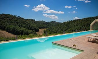 a large outdoor swimming pool surrounded by grass and trees , with a view of the surrounding landscape at Bosco Della Spina