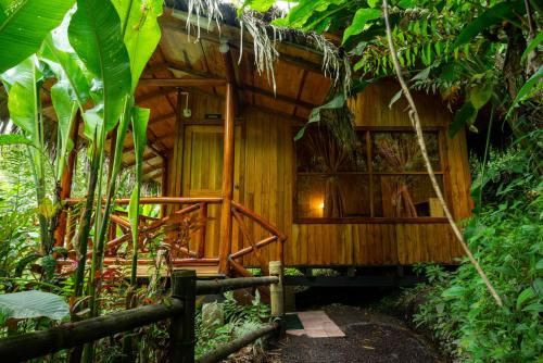 Mindo Lago Hotel Destino Basic Triple Room