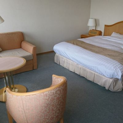 Single-Use [Deluxe] [Standard] [Double Room] [Non-Smoking] ビジネスホテル野田 クーポン