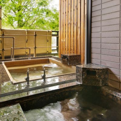 Special Room With Bed(s), Open-Air Hot Spring Bath & Indoor Bath (Houou Type, New Building) 金沢・辰口温泉 まつさき クーポン