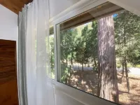 距格雷戈裏湖步行5分鐘 • 4卧室家庭木屋!