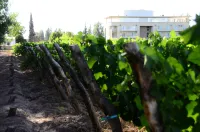 Hotel Finca Hermitage Hotel di 