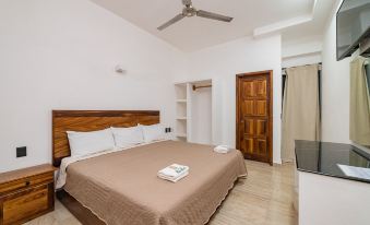 Mayev Express - Housity