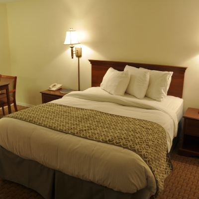 Premium Single Room, 1 Queen Bed, Refrigerator & Microwave Fort Davidson Hotel Promo Code