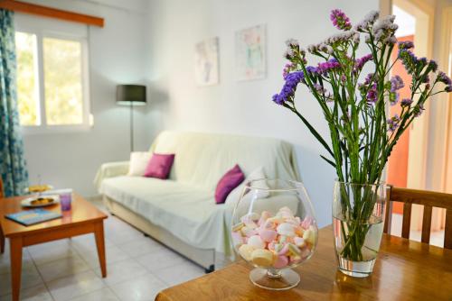 开放式客房， 山景