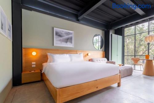 Lively Loft W/ Modern Deco In Roma Norte