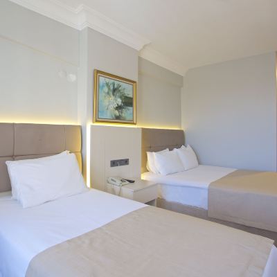 Economy Double or Twin Room Grand Ant Hotel Promo Code