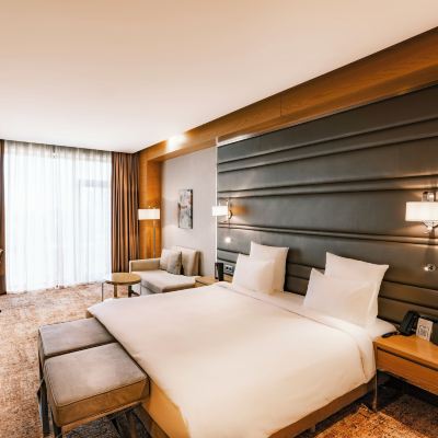 Deluxe King Room Winter Park Hotel Baku Promo Code