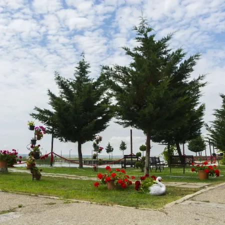 Voila Mamaia