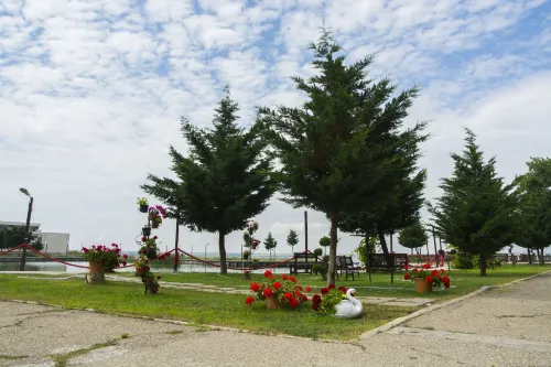 Voila Mamaia