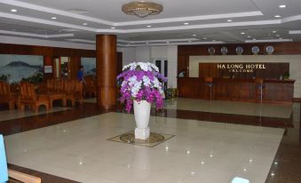 Ha Long Hotel Vung Tau