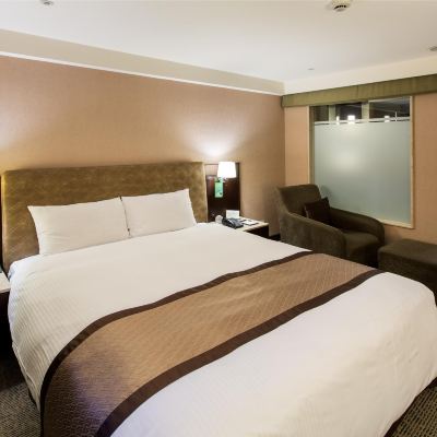 標準大床房 新北板橋馥都飯店優惠