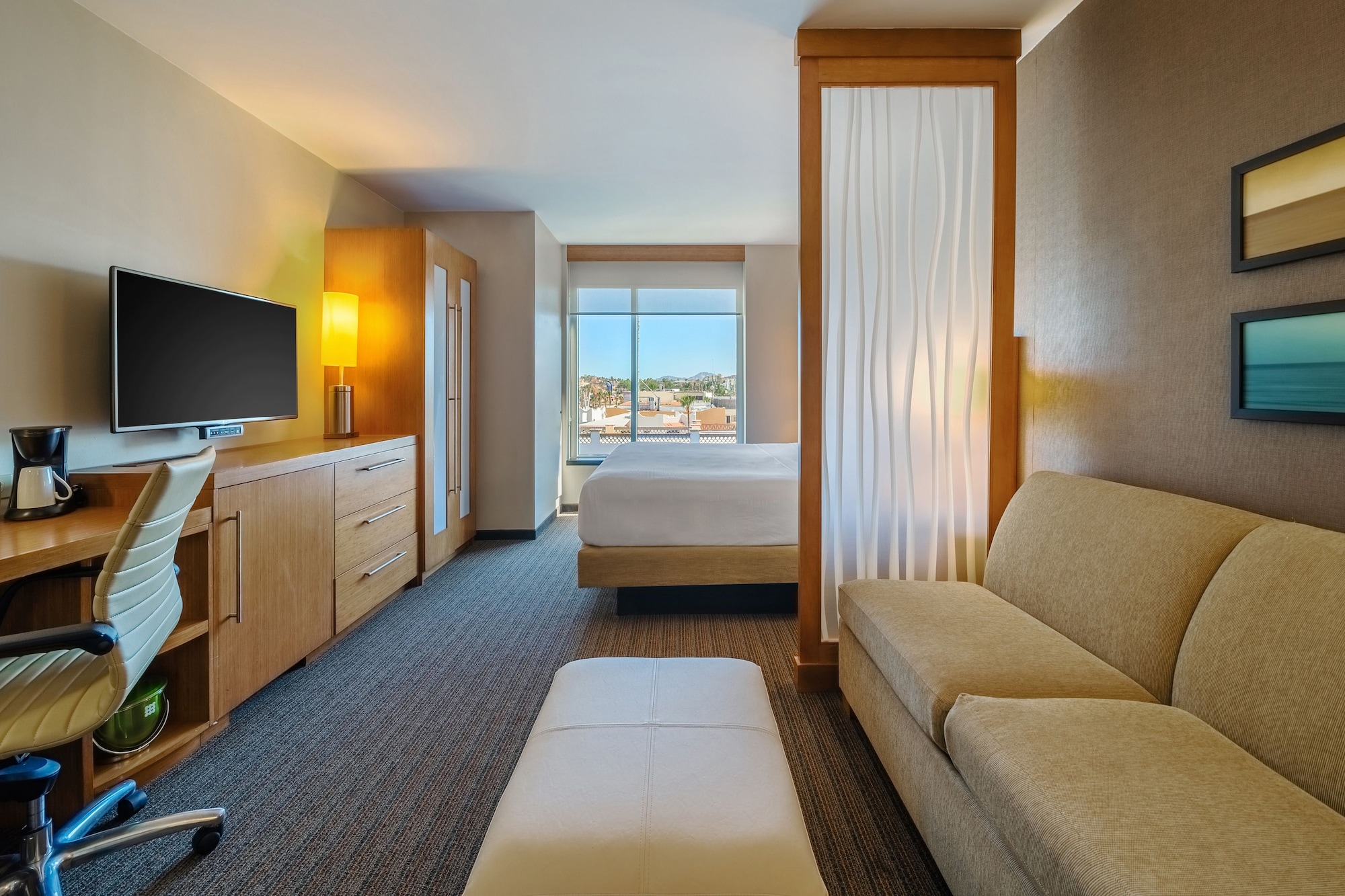 凯悦大型特大床房（带梳化床）