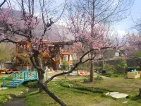 Riverdale Resort 길기트 호텔