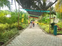 Paradise Island Park & Beach Resort Hotele w: 