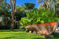 Arbatax Park Resort - Telis Отели в г. 