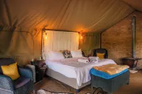 Bushman Rock Safaris Hotels in 