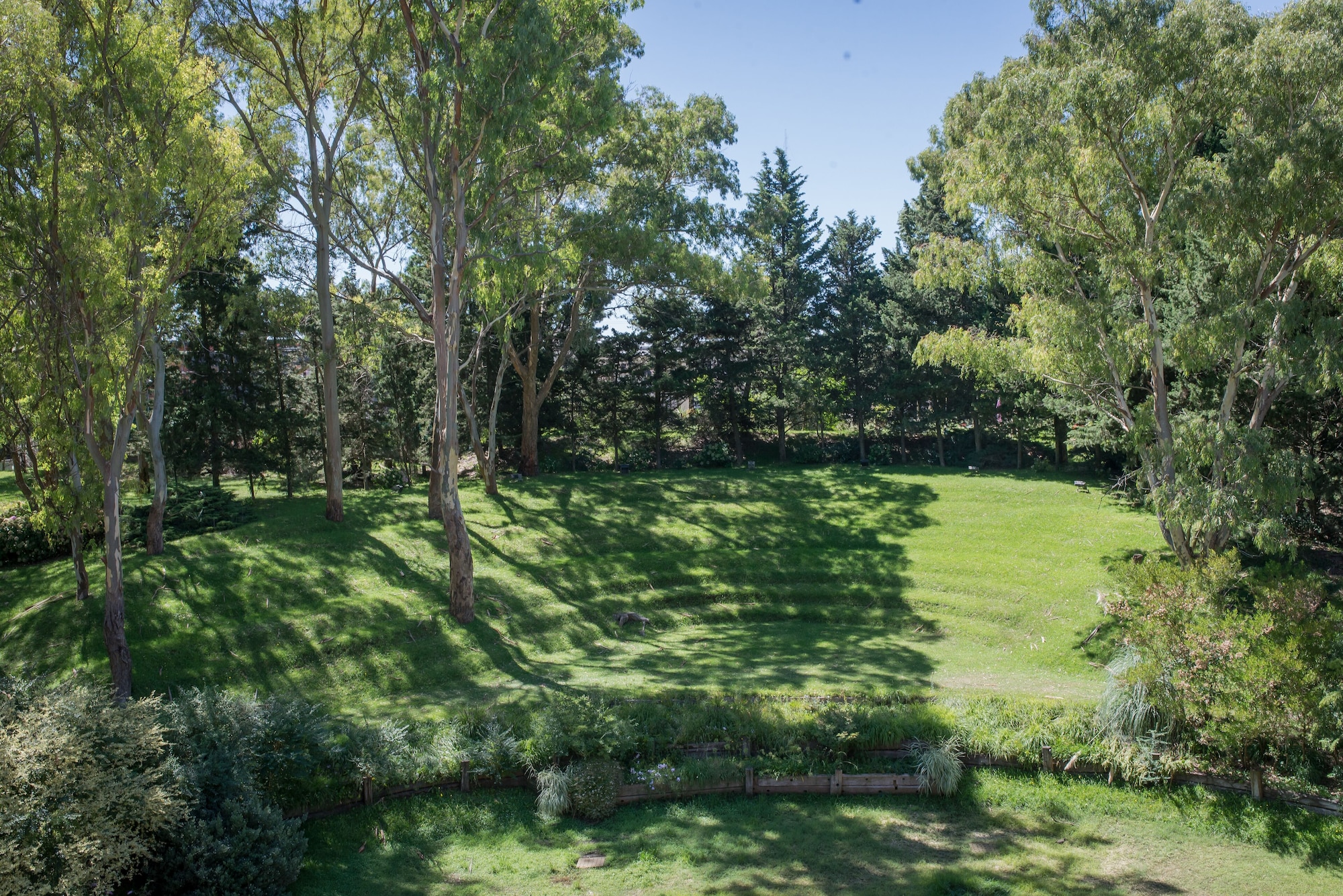 标准双人或双床房，1张特大床，阳台，花园景