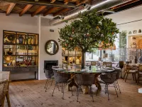 Sublime Comporta Hotels in Comporta