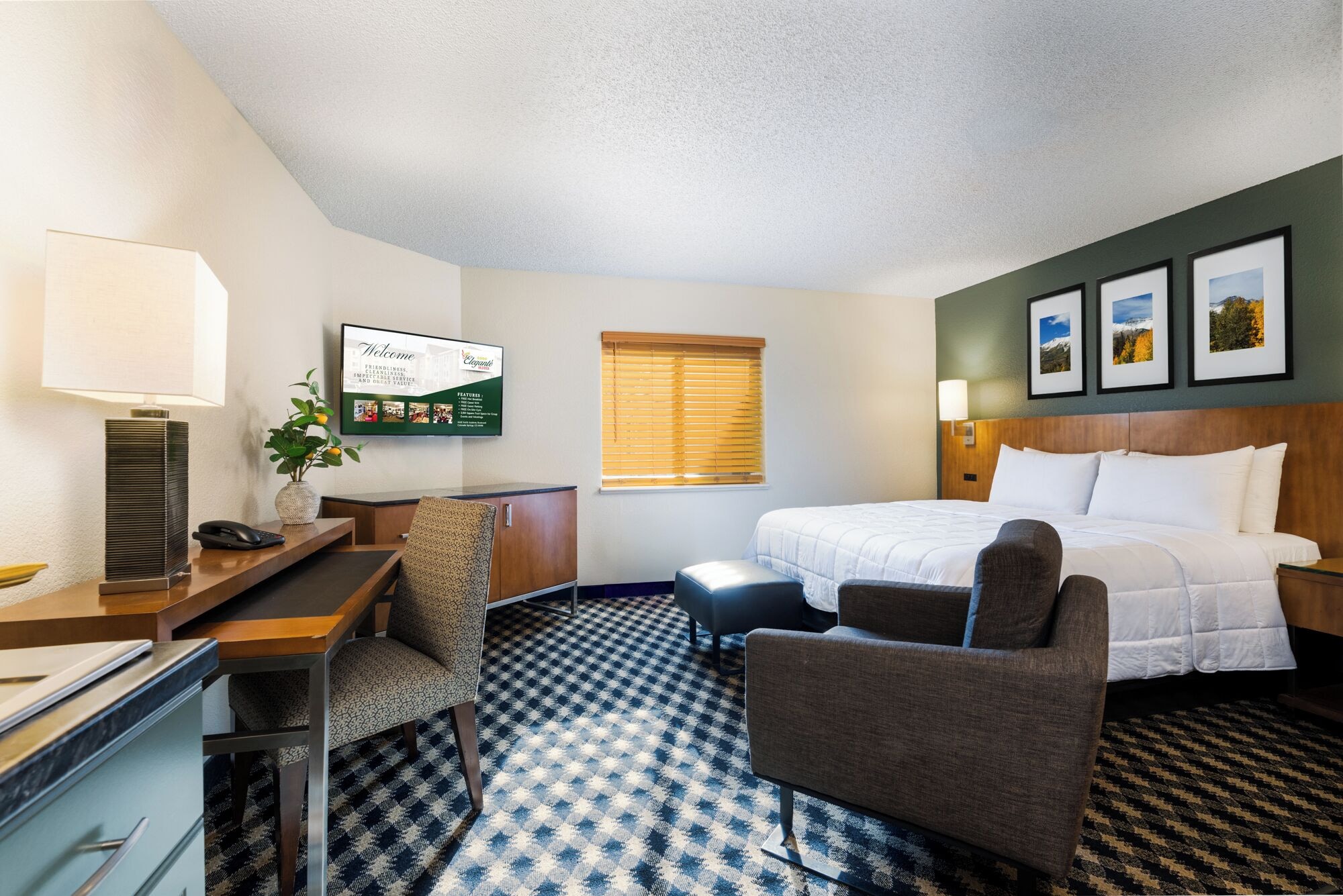 特大床一室公寓（禁止携带宠物）