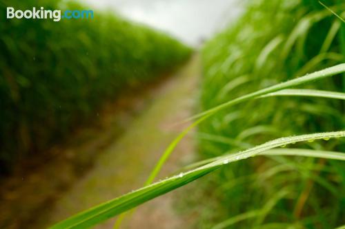 双人间 - 带厨房