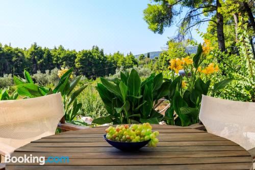 别墅（带独立泳池）