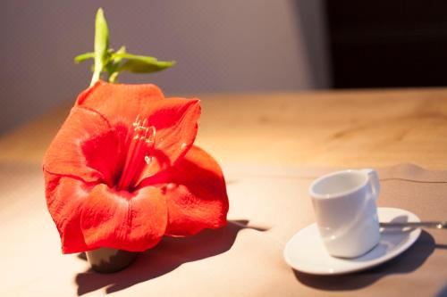 带露台的一室公寓