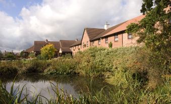 a row of houses is situated next to a pond with reeds and bushes in the foreground at Crewe West