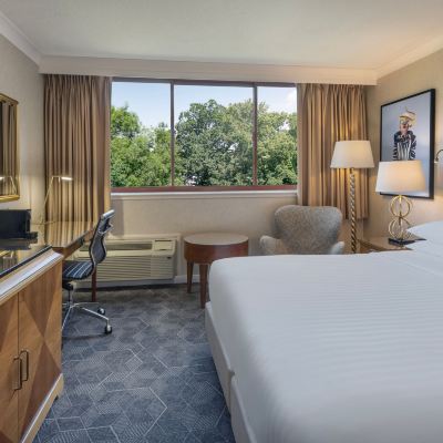 Superior Room, Guest Room, 1 King