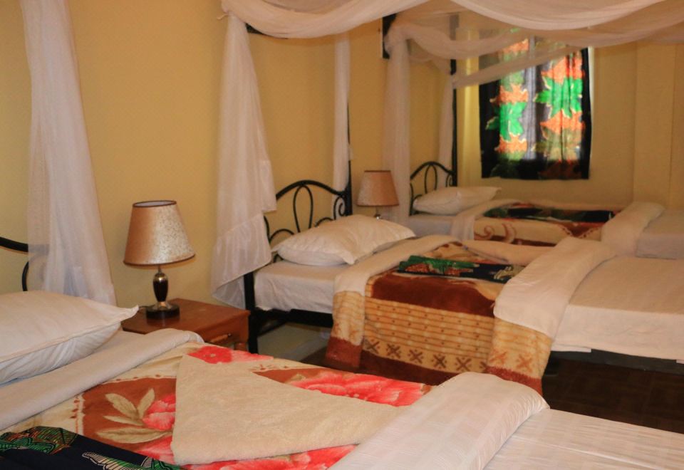 高级豪华双人房