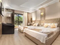 Temple Beach Hotel Hotels in Didim