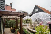The Limes by Luigis Al Fresco