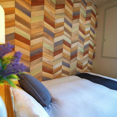 スタンダード シングルルーム ホテルニューガイア糸島 クーポン