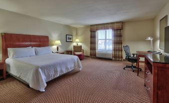 Hilton Garden Inn Las Cruces