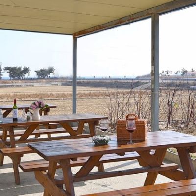 민들레 객실 포항 월포향나무펜션 쿠폰