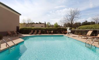a large swimming pool with a row of lounge chairs and trees in the background at Spring Lake Inn & Suites - Fayetteville