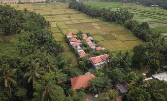 Asri Sari Resort Ubud